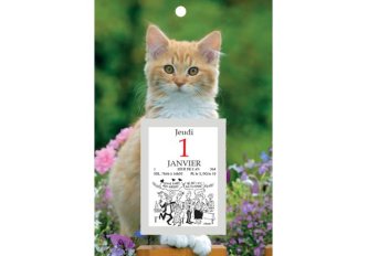 Bloc éphéméride comique classique sur plaque