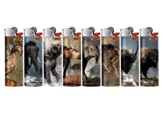 B.50 Maxi BIC Lost Species