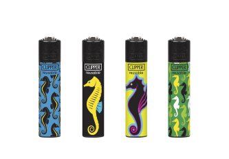 B.48 Clipper micro Sea horse