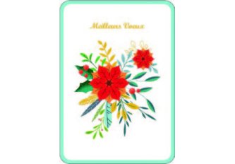 P.6 Carnet Bonne Année