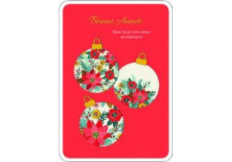 P.6 Carnet Bonne Année