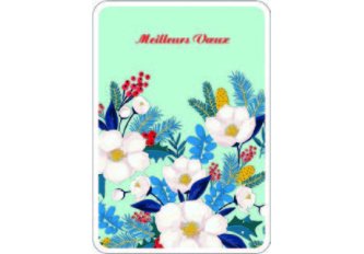 P.6 Carnet Bonne Année