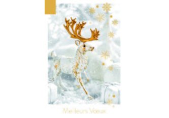 P.6 Carnet Bonne Année