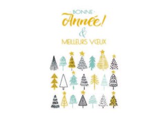 P.6 Carnet Bonne Année