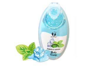 B.10 Etuis de 100 billes Menthe Fraiche