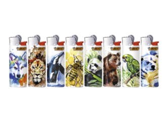 B.50 Mini BIC species