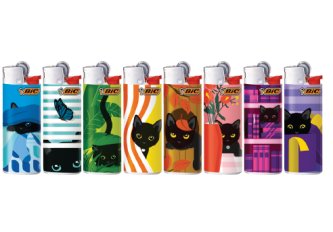 B.50 Mini BIC hidden cat