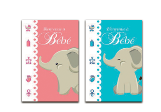 P.6 Carnets de Naissance