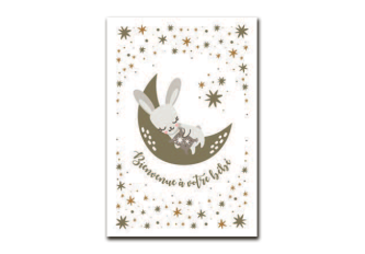 P.6 Carnets de Naissance