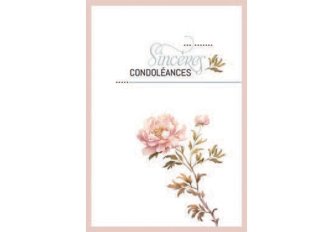 L.6 Carnets condoléances