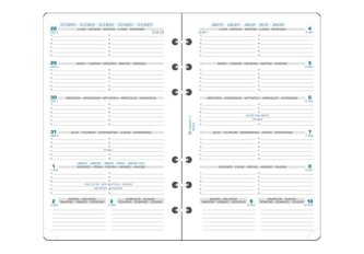 Recharge semainier pour organiseur Exatime 17 – 17,2 x 10,5 cm