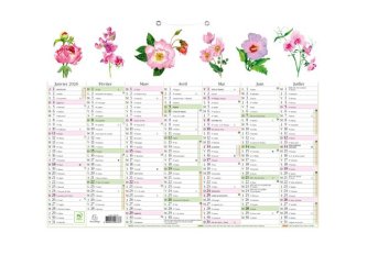 Calendrier Fleurs semestriel