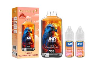 B.5 Falcon X Plus – 28K Puff – 20mg – Cerise pastèque