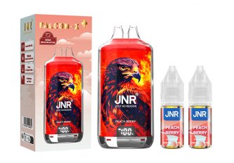 B.5 Falcon X Plus – 28K Puff – 20mg – Pêche, fruit des bois